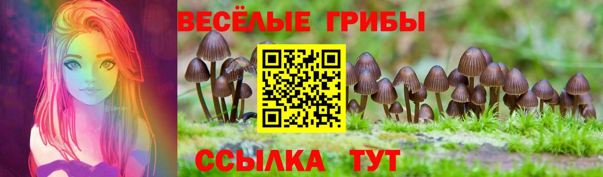 Обнинск  Галлюциногенные грибы прущие грибы  где найти наркотики  Вход с VPN 